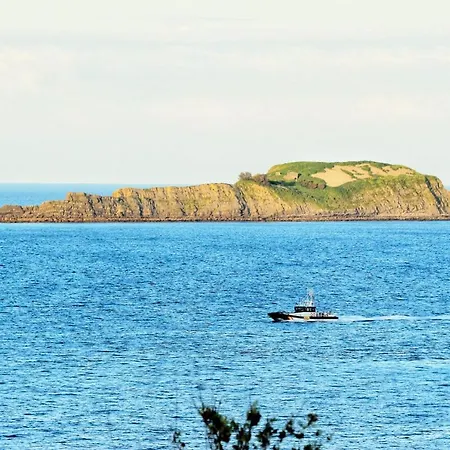 Aurrekoetxea 36 Vr, Talako Izarra *