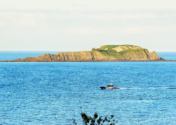 Aurrekoetxea 36 Vr, Talako Izarra *